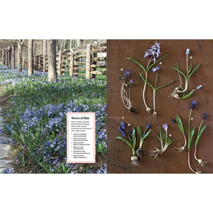 Martha Stewart's Gardening Handbook: Martha Stewart