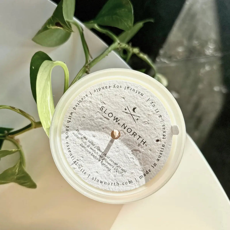 Orange + Clove - Non-Toxic Soy Candle w/ Essential Oils