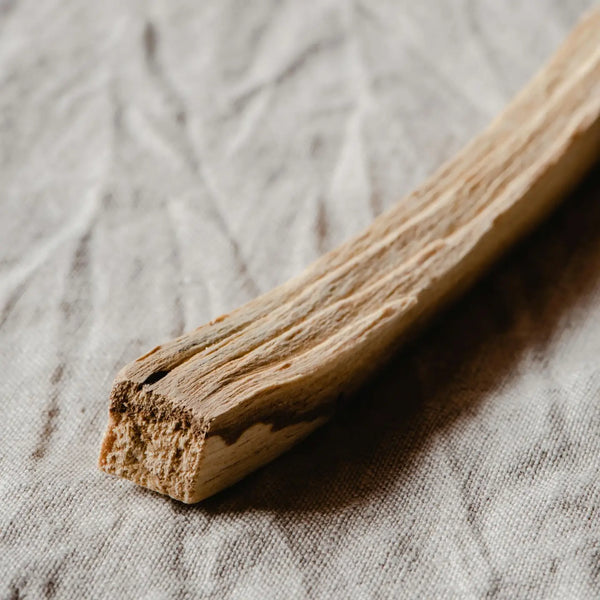 Palo Santo Candle – Reimagined