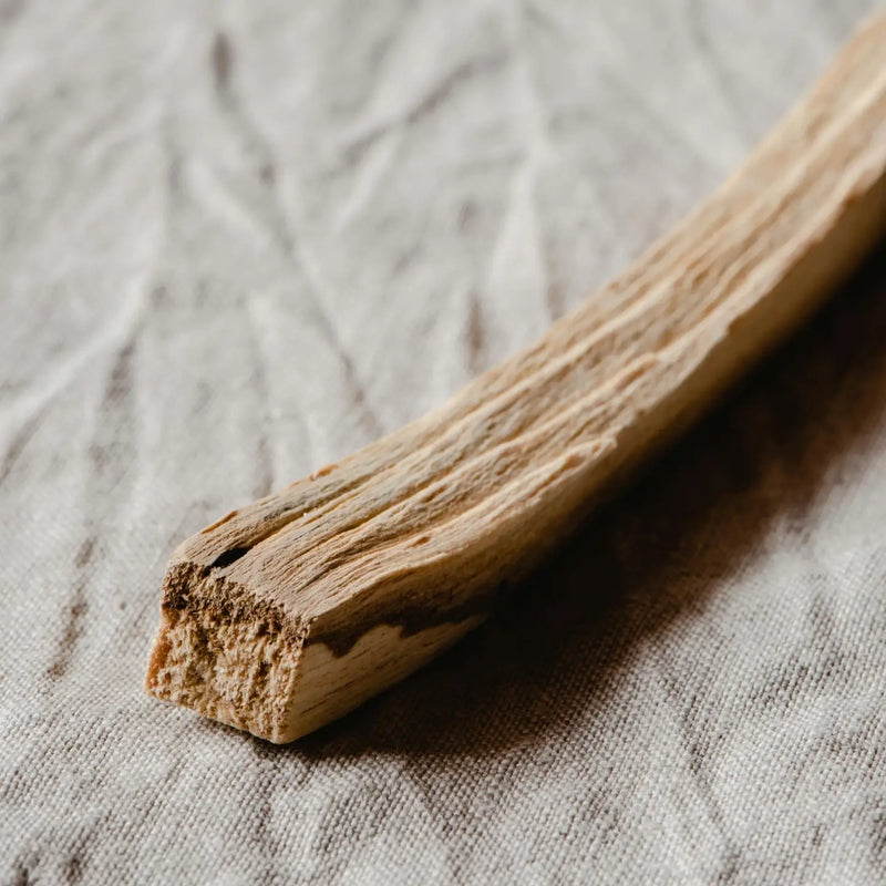 Palo Santo Candle – Reimagined
