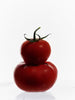 Two red tomatoes on a white background
