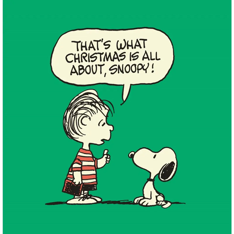 Charlie Brown's Christmas Stocking