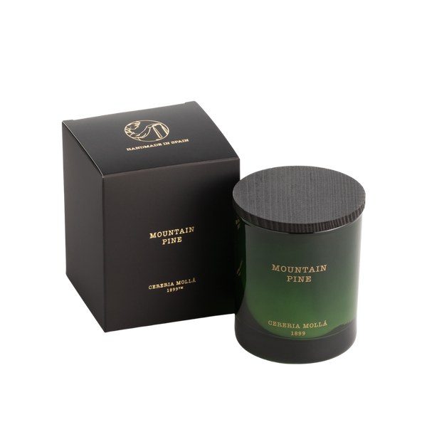 Mountain Pine 8 oz Holiday Candle