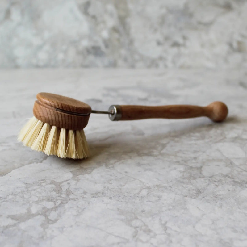 Dish Brush