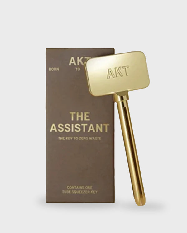 The Assistant