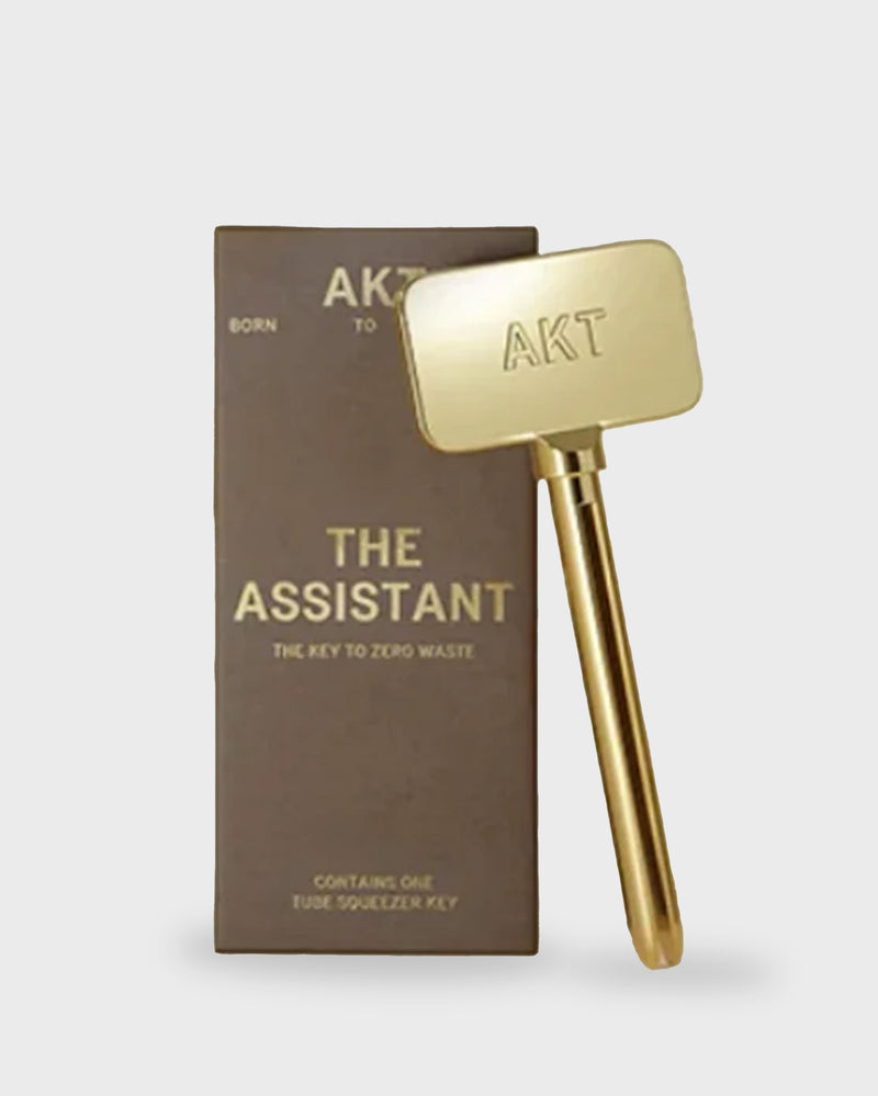 The Assistant